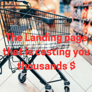 Business E-article;The landing page mistakes costing you thousands: A 2025 Data-Driven Guide.