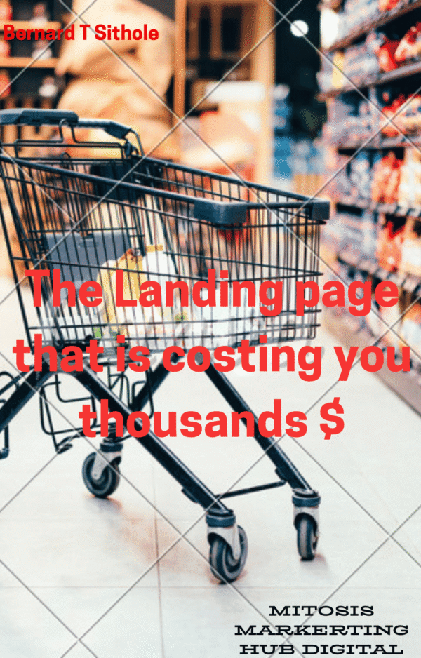Business E-article;The landing page mistakes costing you thousands: A 2025 Data-Driven Guide.